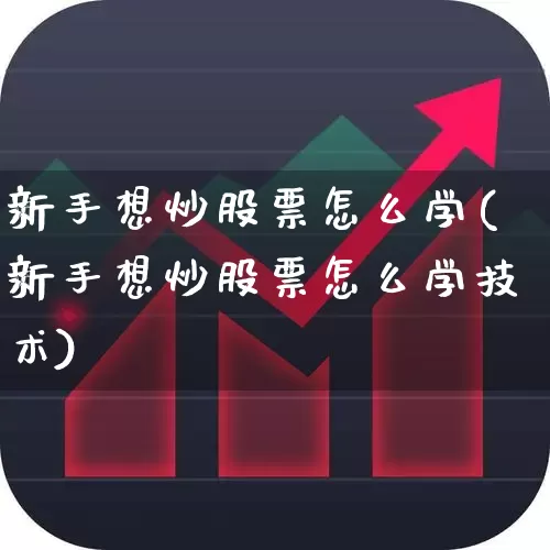 新手想炒股票怎么学(新手想炒股票怎么学技术)_https://www.haiwangdasha.com_北交所_第1张
