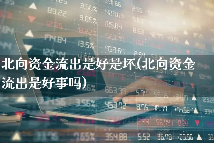 北向资金流出是好是坏(北向资金流出是好事吗)_https://www.haiwangdasha.com_深交所_第1张