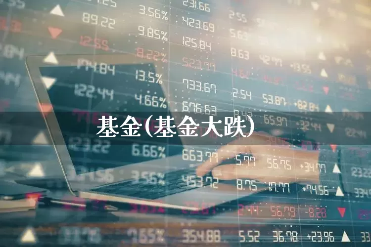 基金(基金大跌)_https://www.haiwangdasha.com_创业板_第1张