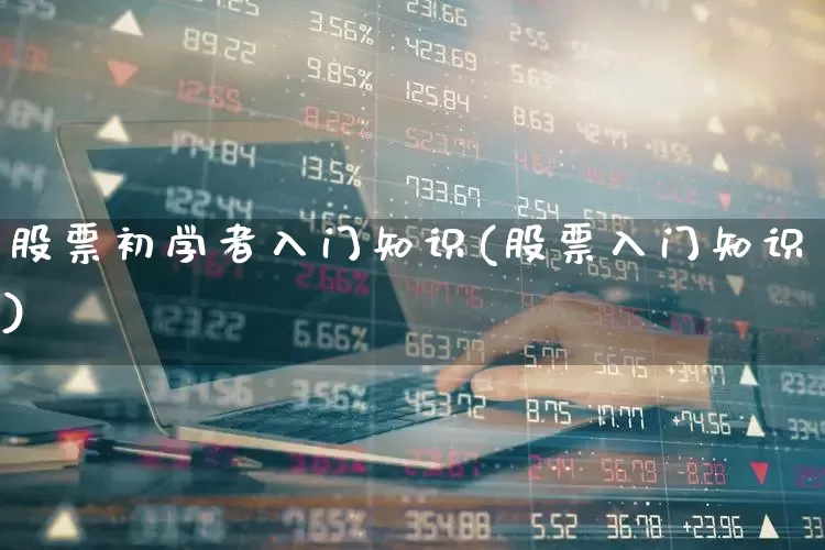 股票初学者入门知识(股票入门知识)_https://www.haiwangdasha.com_北交所_第1张