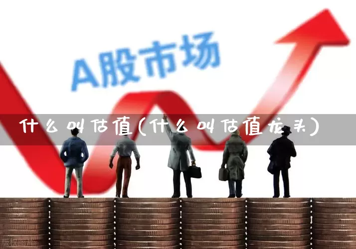 什么叫估值(什么叫估值龙头)_https://www.haiwangdasha.com_深交所_第1张