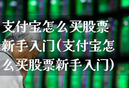 支付宝怎么买股票 新手入门(支付宝怎么买股票新手入门)_https://www.haiwangdasha.com_深交所_第1张