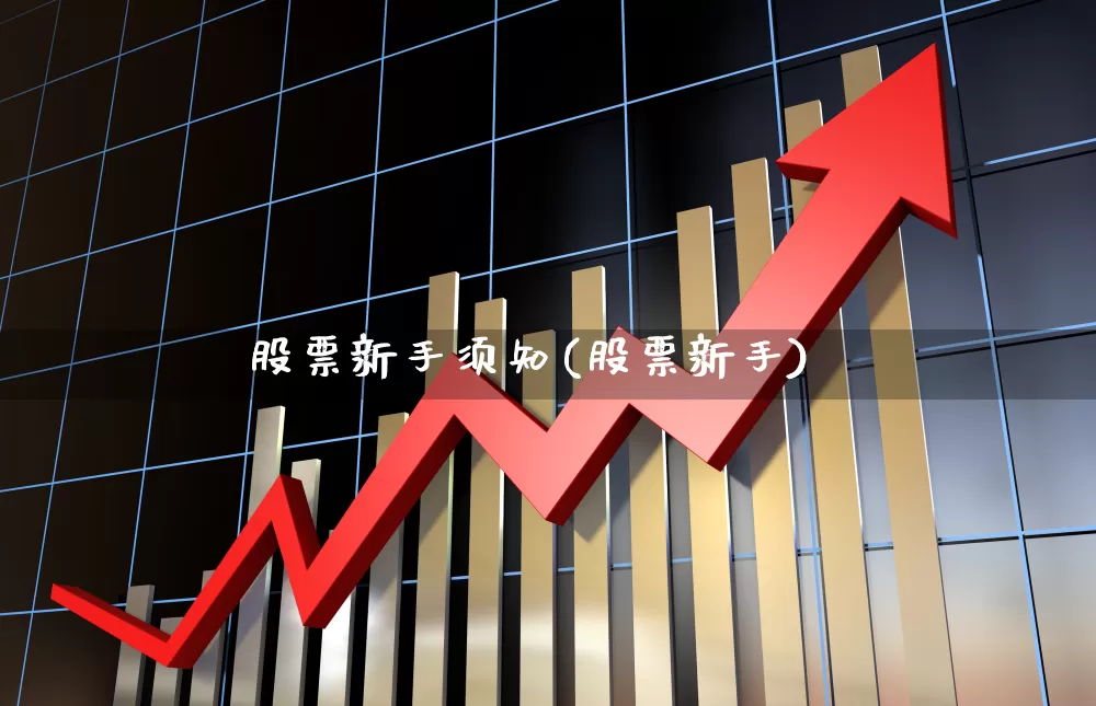 股票新手须知(股票新手)_https://www.haiwangdasha.com_上交所_第1张