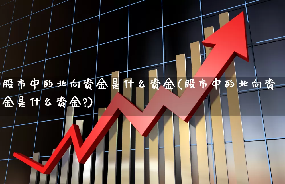 股市中的北向资金是什么资金(股市中的北向资金是什么资金?)_https://www.haiwangdasha.com_深交所_第1张
