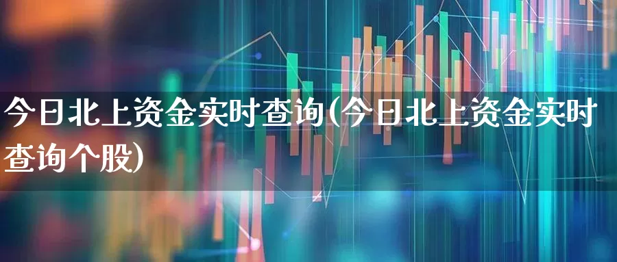 今日北上资金实时查询(今日北上资金实时查询个股)_https://www.haiwangdasha.com_北交所_第1张