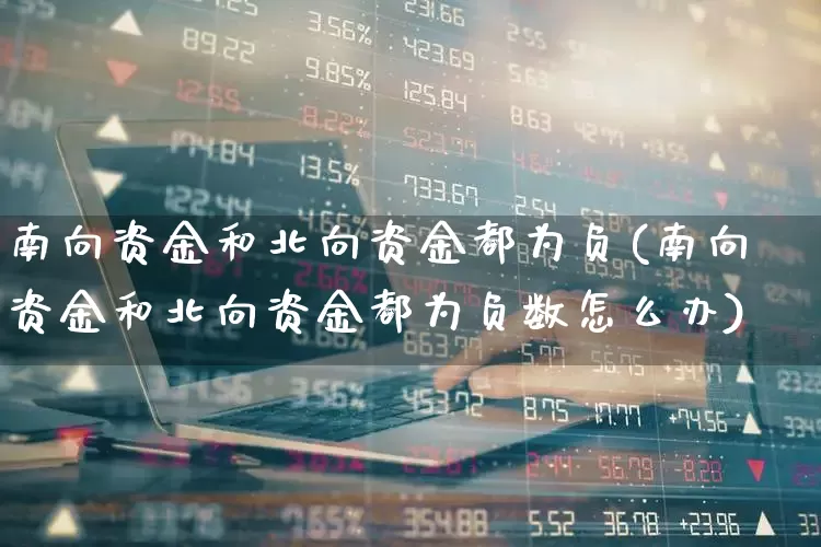 南向资金和北向资金都为负(南向资金和北向资金都为负数怎么办)_https://www.haiwangdasha.com_科创板_第1张