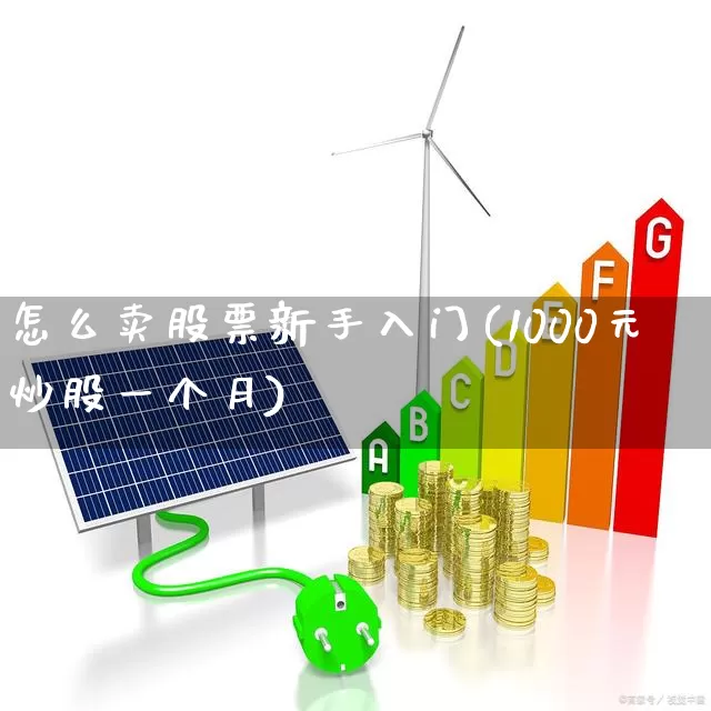 怎么卖股票新手入门(1000元炒股一个月)_https://www.haiwangdasha.com_北交所_第1张