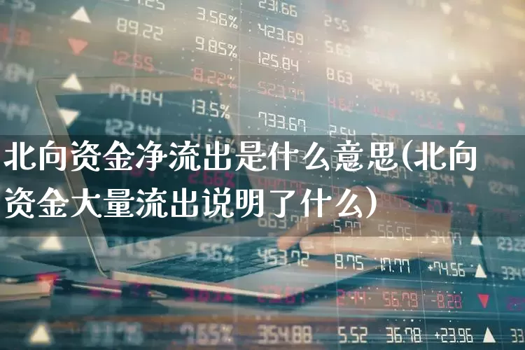 北向资金净流出是什么意思(北向资金大量流出说明了什么)_https://www.haiwangdasha.com_北交所_第1张