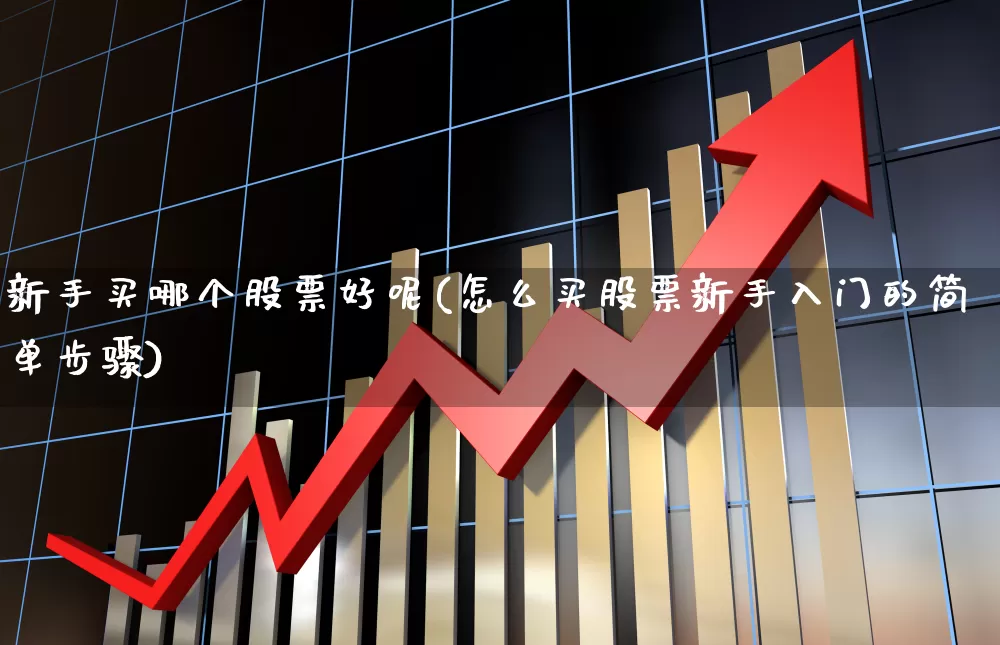 新手买哪个股票好呢(怎么买股票新手入门的简单步骤)_https://www.haiwangdasha.com_深交所_第1张