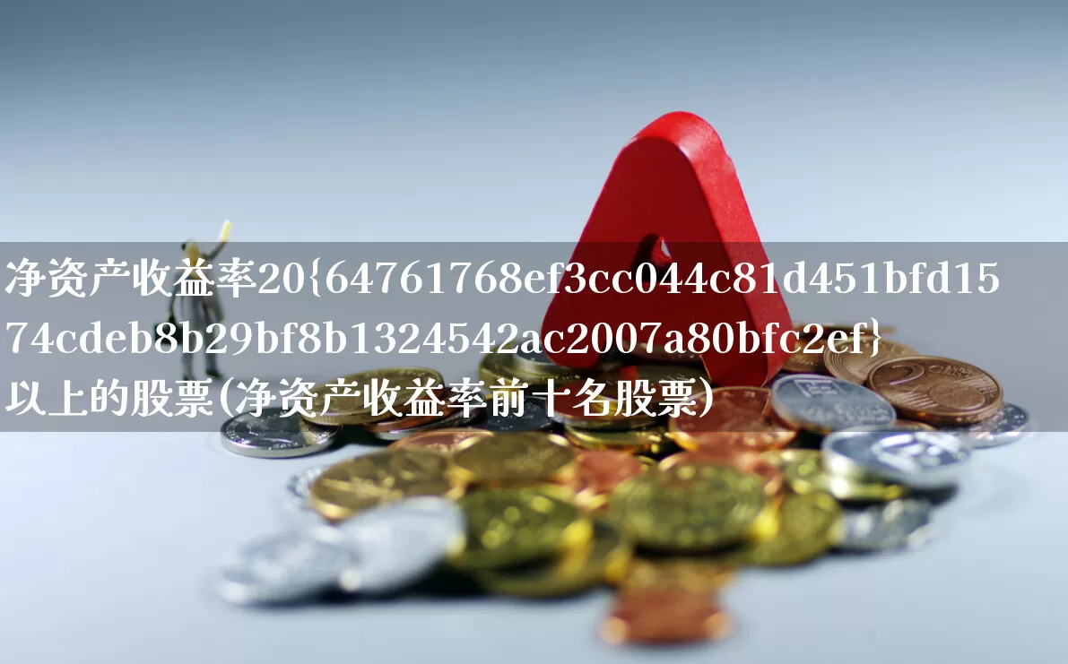 净资产收益率20%以上的股票(净资产收益率前十名股票)_https://www.haiwangdasha.com_北交所_第1张
