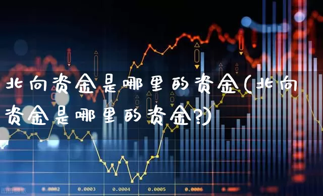 北向资金是哪里的资金(北向资金是哪里的资金?)_https://www.haiwangdasha.com_北交所_第1张