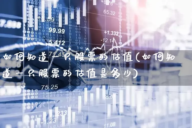 如何知道一只股票的估值(如何知道一只股票的估值是多少)_https://www.haiwangdasha.com_科创板_第1张