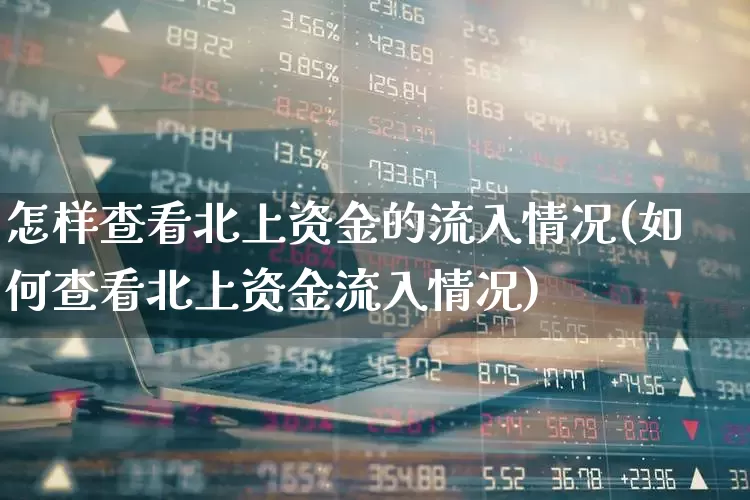 怎样查看北上资金的流入情况(如何查看北上资金流入情况)_https://www.haiwangdasha.com_北交所_第1张