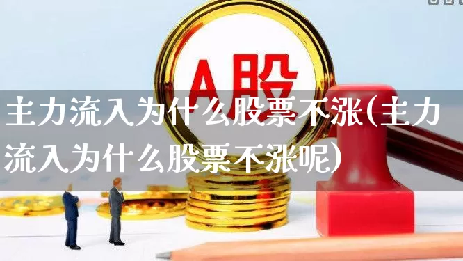 主力流入为什么股票不涨(主力流入为什么股票不涨呢)_https://www.haiwangdasha.com_科创板_第1张