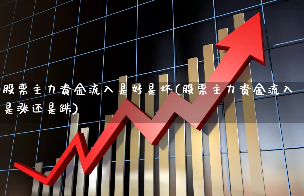 股票主力资金流入是好是坏(股票主力资金流入是涨还是跌)_https://www.haiwangdasha.com_创业板_第1张