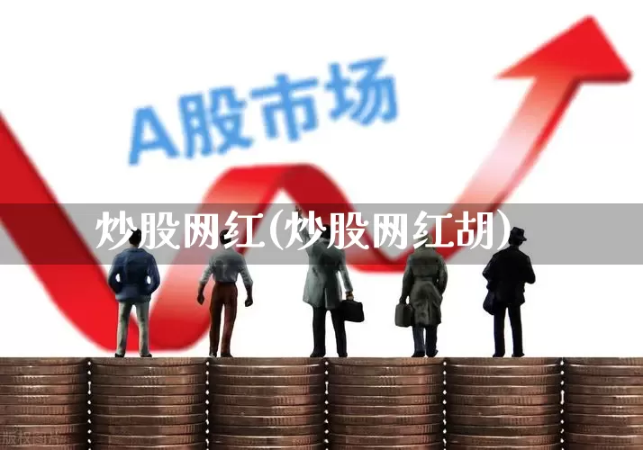 炒股网红(炒股网红胡)_https://www.haiwangdasha.com_科创板_第1张