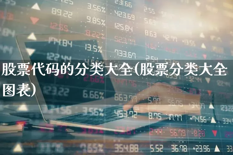 股票代码的分类大全(股票分类大全图表)_https://www.haiwangdasha.com_深交所_第1张