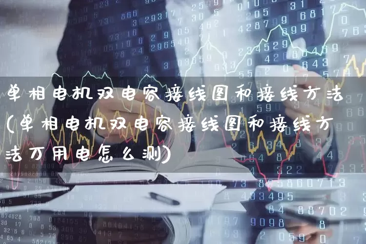 单相电机双电容接线图和接线方法(单相电机双电容接线图和接线方法万用电怎么测)_https://www.haiwangdasha.com_广期所_第1张