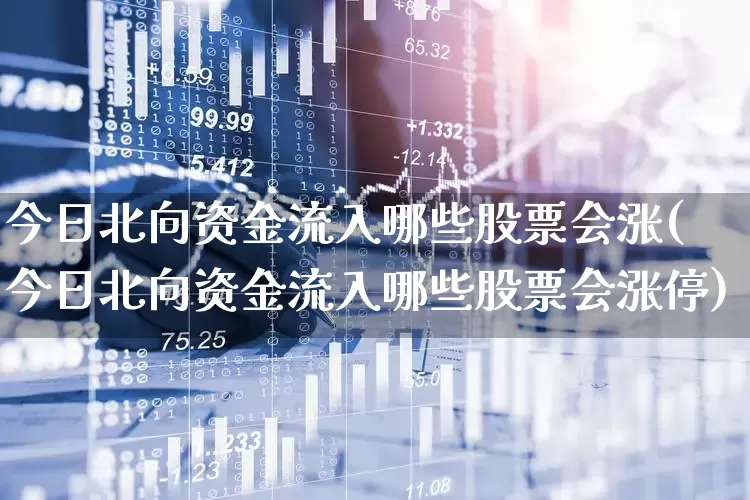 今日北向资金流入哪些股票会涨(今日北向资金流入哪些股票会涨停)_https://www.haiwangdasha.com_科创板_第1张
