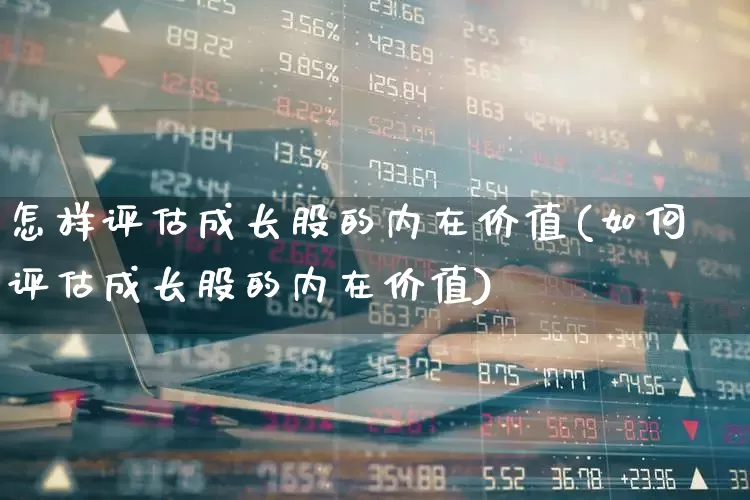 怎样评估成长股的内在价值(如何评估成长股的内在价值)_https://www.haiwangdasha.com_深交所_第1张