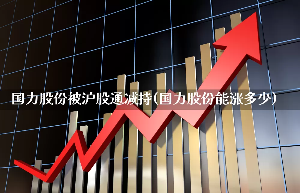 国力股份被沪股通减持(国力股份能涨多少)_https://www.haiwangdasha.com_北交所_第1张