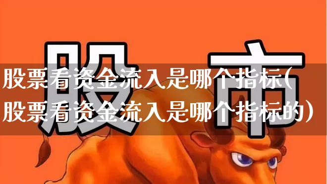 股票看资金流入是哪个指标(股票看资金流入是哪个指标的)_https://www.haiwangdasha.com_科创板_第1张