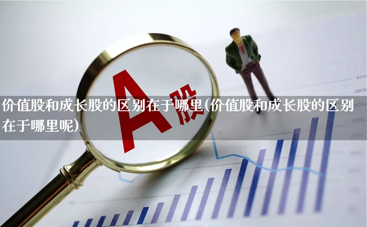 价值股和成长股的区别在于哪里(价值股和成长股的区别在于哪里呢)_https://www.haiwangdasha.com_创业板_第1张