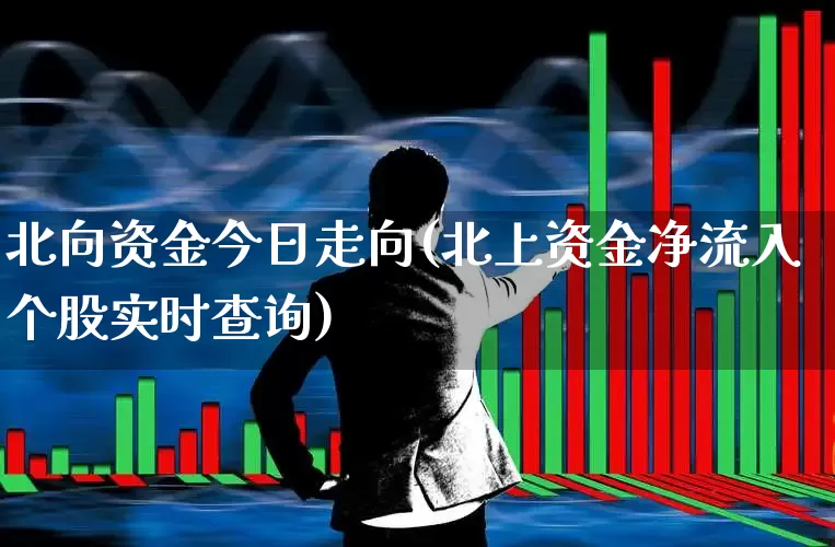 北向资金今日走向(北上资金净流入个股实时查询)_https://www.haiwangdasha.com_上交所_第1张