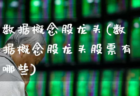 数据概念股龙头(数据概念股龙头股票有哪些)_https://www.haiwangdasha.com_创业板_第1张