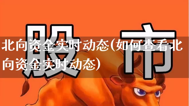 北向资金实时动态(如何查看北向资金实时动态)_https://www.haiwangdasha.com_深交所_第1张