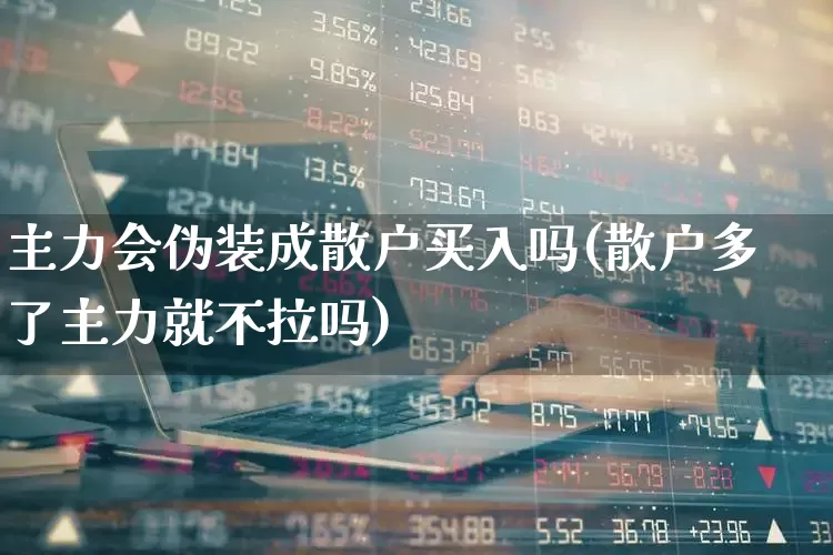 主力会伪装成散户买入吗(散户多了主力就不拉吗)_https://www.haiwangdasha.com_深交所_第1张