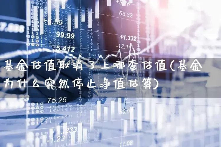 基金估值取消了上哪查估值(基金为什么突然停止净值估算)_https://www.haiwangdasha.com_科创板_第1张