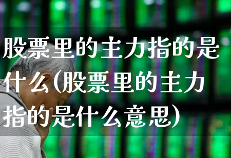 股票里的主力指的是什么(股票里的主力指的是什么意思)_https://www.haiwangdasha.com_北交所_第1张