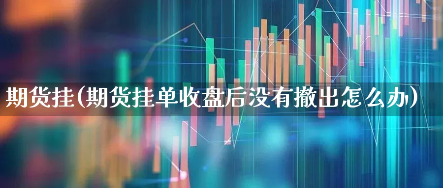 期货挂(期货挂单收盘后没有撤出怎么办)_https://www.haiwangdasha.com_郑商所_第1张