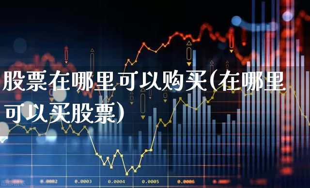股票在哪里可以购买(在哪里可以买股票)_https://www.haiwangdasha.com_深交所_第1张
