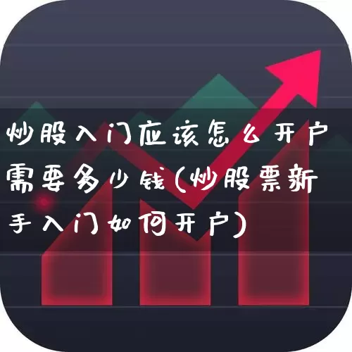炒股入门应该怎么开户需要多少钱(炒股票新手入门如何开户)_https://www.haiwangdasha.com_深交所_第1张