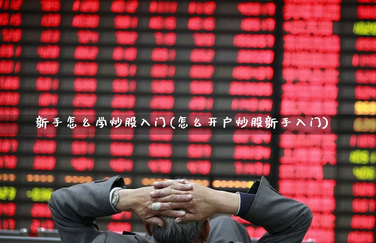 新手怎么学炒股入门(怎么开户炒股新手入门)_https://www.haiwangdasha.com_深交所_第1张