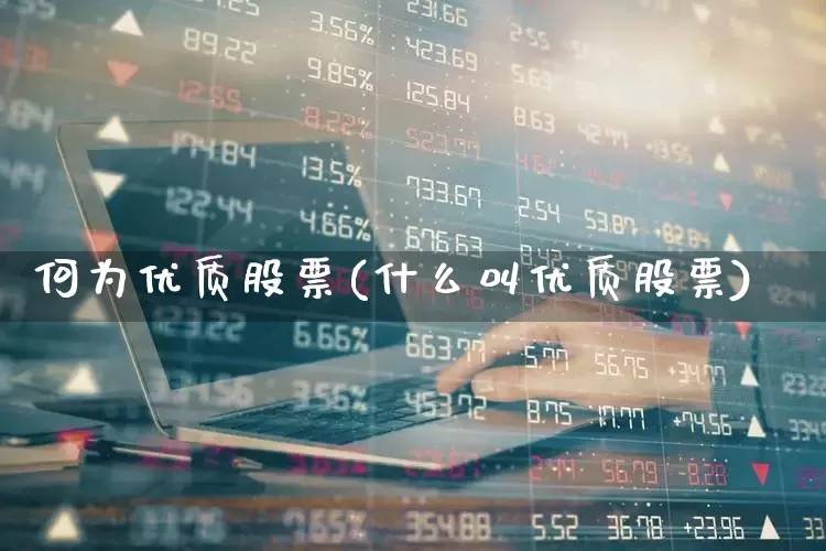 何为优质股票(什么叫优质股票)_https://www.haiwangdasha.com_科创板_第1张
