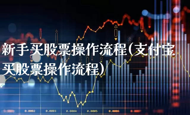 新手买股票操作流程(支付宝买股票操作流程)_https://www.haiwangdasha.com_科创板_第1张