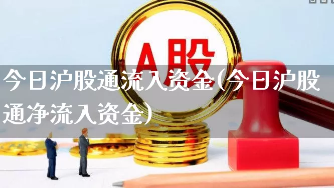 今日沪股通流入资金(今日沪股通净流入资金)_https://www.haiwangdasha.com_深交所_第1张