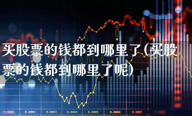 买股票的钱都到哪里了(买股票的钱都到哪里了呢)_https://www.haiwangdasha.com_创业板_第1张