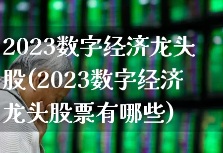 2023数字经济龙头股(2023数字经济龙头股票有哪些)_https://www.haiwangdasha.com_深交所_第1张