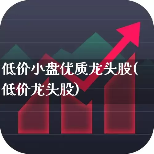 低价小盘优质龙头股(低价龙头股)_https://www.haiwangdasha.com_深交所_第1张