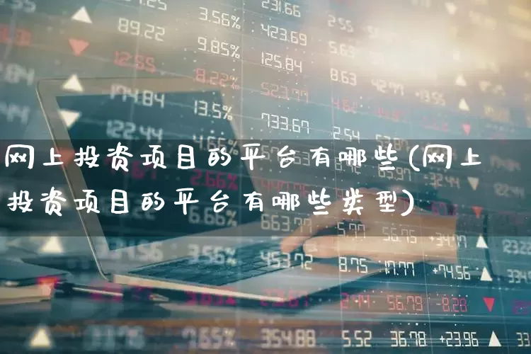网上投资项目的平台有哪些(网上投资项目的平台有哪些类型)_https://www.haiwangdasha.com_上交所_第1张