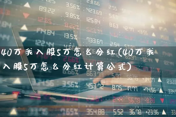 40万我入股5万怎么分红(40万我入股5万怎么分红计算公式)_https://www.haiwangdasha.com_深交所_第1张
