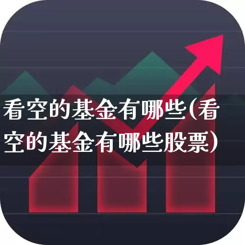 看空的基金有哪些(看空的基金有哪些股票)_https://www.haiwangdasha.com_深交所_第1张