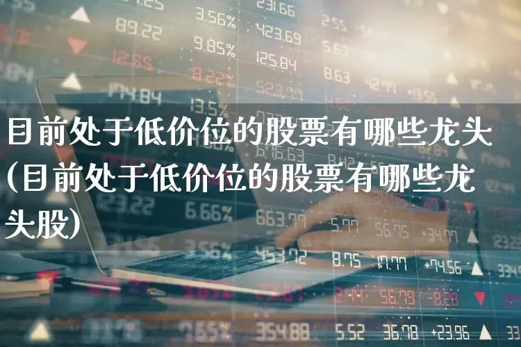 目前处于低价位的股票有哪些龙头(目前处于低价位的股票有哪些龙头股)_https://www.haiwangdasha.com_北交所_第1张