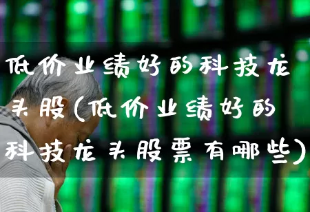 低价业绩好的科技龙头股(低价业绩好的科技龙头股票有哪些)_https://www.haiwangdasha.com_创业板_第1张