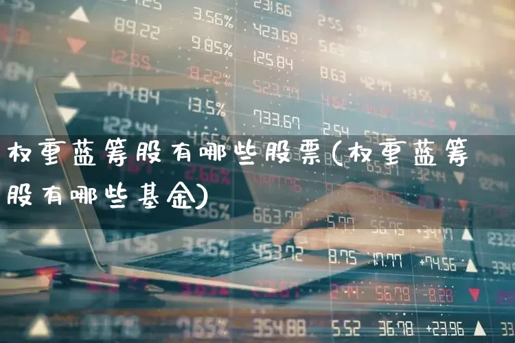 权重蓝筹股有哪些股票(权重蓝筹股有哪些基金)_https://www.haiwangdasha.com_深交所_第1张