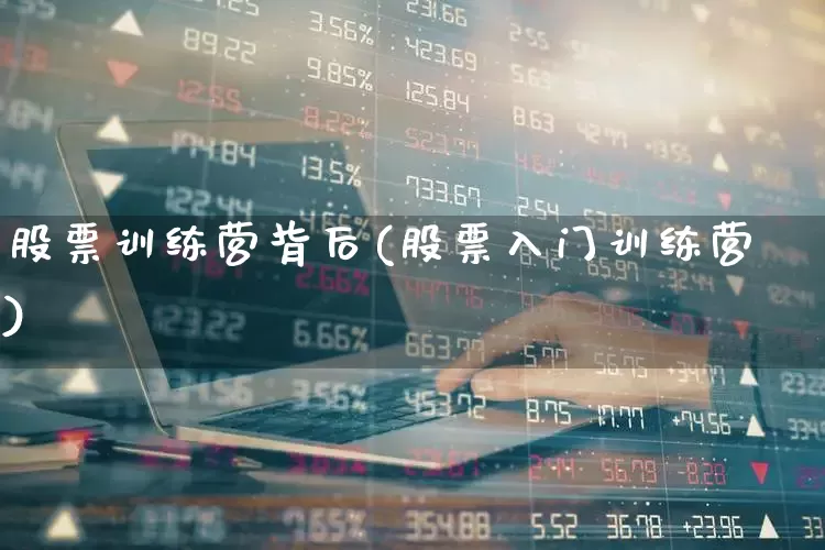 股票训练营背后(股票入门训练营)_https://www.haiwangdasha.com_科创板_第1张